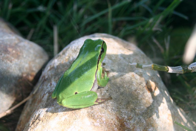 Killikus&reg; Fotographie